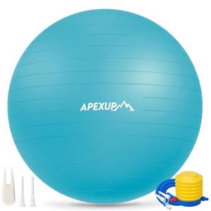 APEXUP Yoga Ball, 660 lbs Anti-Burst Exercise Ball with Pump, 5 Sizes | Anti-Burst, Anti-Slip, SGS Certified, Strengthens Core, Improves Balance & Posture, Boosts Flexibility & Stability