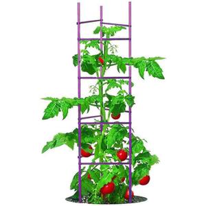 NO Splicing - 5ft Tall Tomato Cage 6-Pack Large Tomato Stakes Garden Plant Stakes Climbing Supports, 40 Clips and Plant Ties Included, Purple