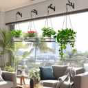 4-Pack 10 Inch Aesthetic Plant Hanger Indoor and Outdoor Metal Hanging Plant Bracket with Hummingbird Pattern Heavy Duty Plant Hooks for Hanging Flower Baskets, Bird Feeder, Wind Chime, Lantern