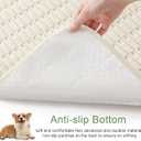 Sinotalent Washable Pee Pads for Dogs, Reusable Puppy Pads Dog Pads, NonSlip Dog Pee Pads, LeakProof Pet Pee Pads Wee Wee Pads for Dogs. (Cream White, 18"x24" (Pack of 2)