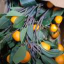Daifunli 20 Pcs Artificial Tangerine Branches 25 Inch Realistic Faux Oranges Fruit with Green Leaves Simulation Orange Branch Decorative Kumquat Tangerine for Vase Home Party Decoration (6 Oranges)