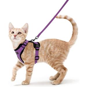 rabbitgoo Cat Harness and Leash for Walking, Escape Proof Soft Adjustable Vest Harnesses for Cats, Easy Control Breathable Reflective Strips Jacket, Purple, S