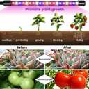 Garpsen Grow Light, 80 LEDs Full Spectrum Plant Lights for Indoor Growing with Clip, 3 Color Modes & 5 Dimming Levels Grow Lamp with Timer 6/12/16H, 360 Adjustable Gooseneck, for Indoor Plant(2Pack)