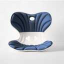 Ergonomic back support office chair cushion, back cushion for posture correction, suitable for long sitting to relieve low back pain - back posture corrector (blue, Large size-（19inch*16inch）)