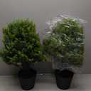THE BLOOM TIMES 2ft Artificial Topiary Ball Trees Outdoor Set of 2, 24" Tall Faux Cedar Plants Outside UV Resistant Greenery Fake Evergreen Potted Bushes and Shrubs for Front Porch Patio Planter Decor