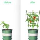 Garden Plant Support Tomato Cage, Upgrade Trellis for Climbing Plants, Plant Trellis Kits (2 Pack-18)