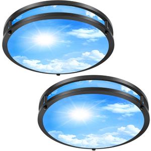 2 Pack 24W LED Ceiling Lights for Office Hallway Bedroom, 12 Inch Dimmable Flush Mount LED Ceiling Light Fixture, 6500K/5000K/4000K/3500K/3000K Adjusted Modern Lamps (Cloud Blue Sky Cover) (Black)