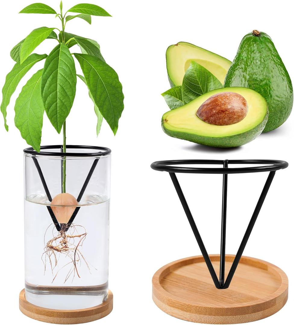 Avocado Tree Growing Kits, Avocado Growing Vase Wooden Base Avocado Seed Starter Vase Glass Plant Pot Easy Seed Sprout Starter Gift for Women Gardening Lovers Home Office Table Decoration (Black)
