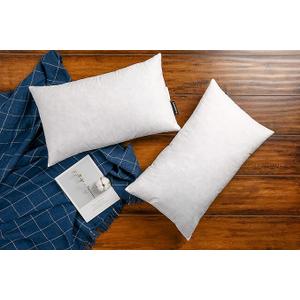 JA COMFORTS 12×20 Premium Goose Down Feather Throw Pillow Inserts(Set of 2)-5% Down Filling,High Filling Weight,250 TC Cotton Cover, Square, White