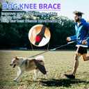 S Dog Knee Brace for Torn Acl Hind Leg for Support with Cruciate Ligament Injury, Better Recovery with Dog Leg Braces for Back Leg, S