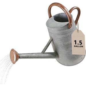 Watering Can for Outdoor&Indoor Plants1.5 Gallon5.7L Metal Watering Can with with Removable SpoutLarge Galvanized Steel Garden Flower Water Can Watering Pot with 2 HandlesRustic Silver