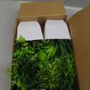 4 Pcs Artificial Plastic Plants with White Pot for Bedroom Office Home Living Room Balcony Bathroom