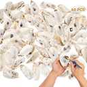 Homaisson  Oyster Shells for Crafts, Large Oyster Shells for Decor, Natural North Sea Origin, 4~5 Inches Natural Design, Ideal for Aquarium Landscaping, Crack-Free Surface