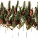 CraftMore Set Of 12 Wild Wood Pine Picks