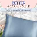 Blissy Silk Pillowcase - 100% Pure Mulberry Silk - 22 Momme 6A High-Grade Fibers - Silk Pillow Cover for Hair & Skin - Regular, Queen & King (Ash Blue, Queen)