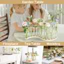 Test Tube Vases for Flowers，Small Plant Propagation Station，S Shape Plant Terrarium with Wooden Stand(Light Wood)