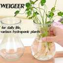 Three Hydroponic Hyacinth Glass Vases,Propagation Vases,Home Decoration Vase,DIY Interest Plant Cultivation Flower Bottles,Cottage Core Decor(Clear)