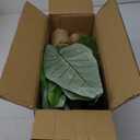 Cat Scratching Post 35'' Tall Cat Scratcher Tree Tower Scratching Posts for Indoor Cats with Cat Toy Mouse Hole and Interactive Wooden Ball for Kittens Adults Cats