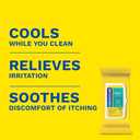 Preparation H Hemorrhoid Flushable Wipes with Witch Hazel for Skin Irritation Relief - 48 Count (Pack of 4)