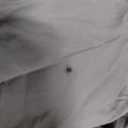 Bed Sheet  100"x80"