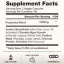 TODICAMP Melanin-Rich Physiology Colon Cleanse & Bloating Relief for Women, Gut Cleanse Detox for Women, Zeolite Detox Fiber Supplement for Women, Activated Charcoal Capsules Psyllium Husk & Chlorella (EXP 07/01/27)