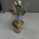 Baby Toys Interactive, Dancing Talking Cactus Toy Volume Adjustable, Mimicking Singing Repeating, Easter Gifts / Easter Basket Stuffers for Baby Toddler, Toddler Infant Baby Toys Gifts for Boys Girls