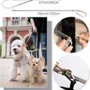 Puppytie No Pull Dog Harness with Multifunction Dog Leash,Soft Adjustable No Choke Escape Proof Pet Harness Vest for Medium Dogs,Polka dots Smoke Grey,M (M(16.5-31lb)