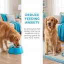 Magiinzaa Slow Eating Bowl for Dogs, Plastic Dog Licking Bowl, Dog Licking Toy, Dog Licking Ball, Slow Eating Bowl for Dogs (Suitable for Large Dogs), Liquid Snack Bowl (Blue)