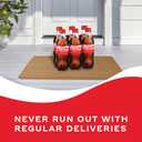 Coca-Cola Soda Soft Drink Bottles, 16.9 fl oz, 6 Pack