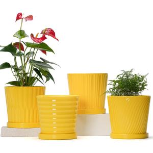 Ton Sin Plant Pots, 6 Inch Flower Pots for Plants,Ceramic Planter with Drainage Holes,Indoor Planter Pots with Saucer,Outdoor Garden Pots (Yellow, 3 Pack)