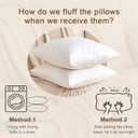 Organic Feather Down Throw Pillow Inserts (26x26 Inch, Set of 2) - 100% Cotton Shell, Filling of Feathers, Euro Square Decorative Pillow Form Core for Couch, Sofa, and Bed