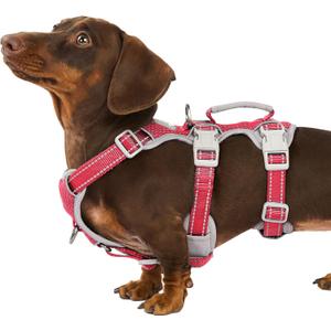 Huntboo No Escape Dog Harness, Escape Proof Harness, Fully Reflective Harness with Padded Handle, Breathable, Durable, Adjustable Vest for Small Dogs Walking,Training,and Running Gear(Red,S)
