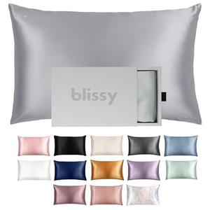 Blissy Silk Pillowcase - 100% Pure Mulberry Silk - 22 Momme 6A High-Grade Fibers - Silk Pillow Cover for Hair & Skin - Regular, Queen & King with Hidden Zipper (Standard, Silver) 30×20"