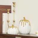 WDS WONDROUS Fall Pumpkin Decor Set of 2, White and Gold Pumpkins for Decorating, Resin Fake Pumpkin Figurines, Harvest Thanksgiving Mantel Table Centerpiece Autumn Home Decoration Gift