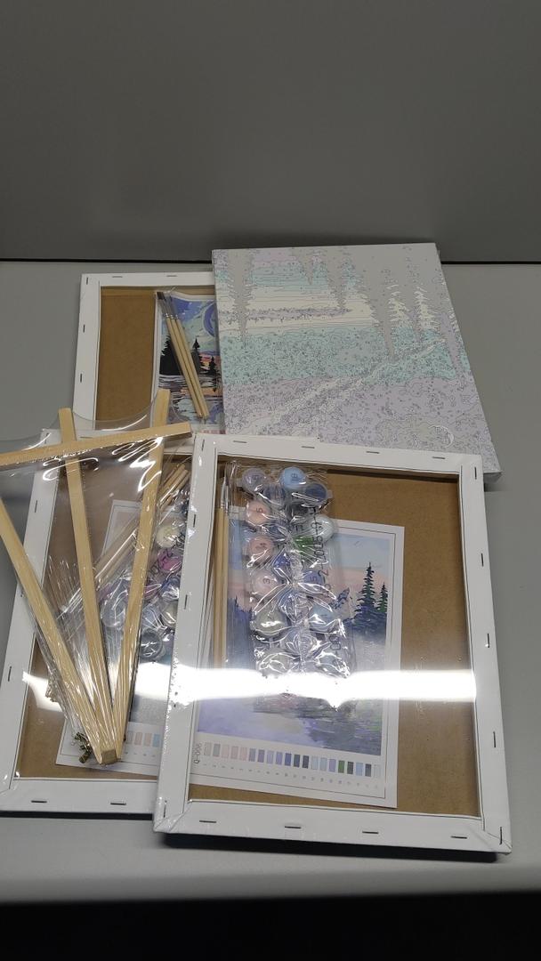 Paint By Numbers 4 Pack