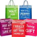 Large 13 inch Gift Bags - Pack of 5 - Funny Gift Wrap for Birthdays and All Occasions,13x10.5x5.75 Inch 