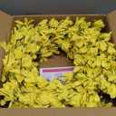 Spring Wreaths for Front Door, 24 Inch Yellow Forsythia Spring Door Wreath, Farmhouse Spring Door Wreaths on Grapevine for Celebration Wall Window Decoration Hanging