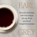 Rishi Tea Earl Grey Tea - Organic Sachet Tea Bags, Pure Black Tea with Bergamot Oil, Energizing & Caffeinated - 50 Count (EXP 12/11/27)