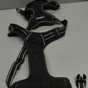 rabbitgoo Dog Harness No Pull with 2 Leash Clips, Adjustable Soft Padded, Reflective Oxford No Choke Pet Vest with Easy Control Handle for Large Dogs, Black, XL