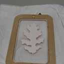 Leaf Shadow Box