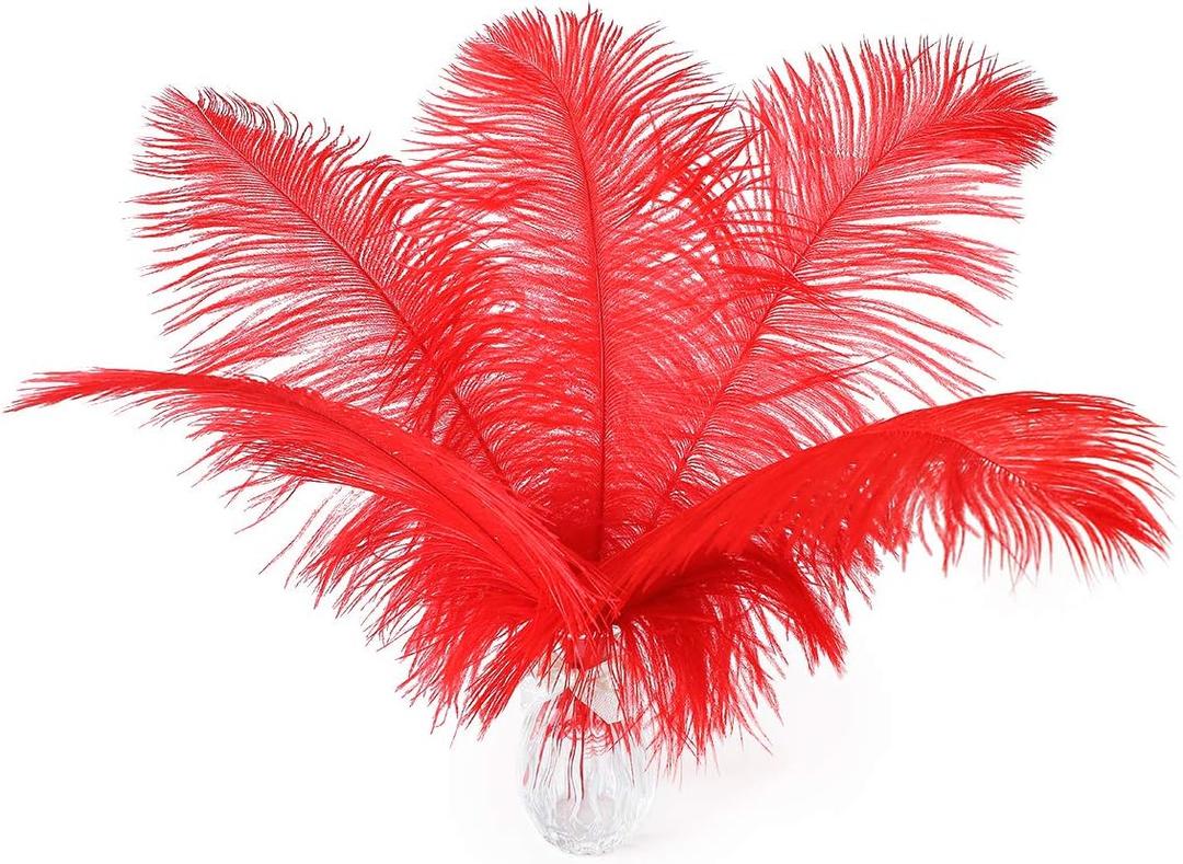 24pcs Natural Bright Red Ostrich Feathers 10-12inch (25-30cm) for Wedding Party CenterpiecesFlower Arrangement and Home Decoration