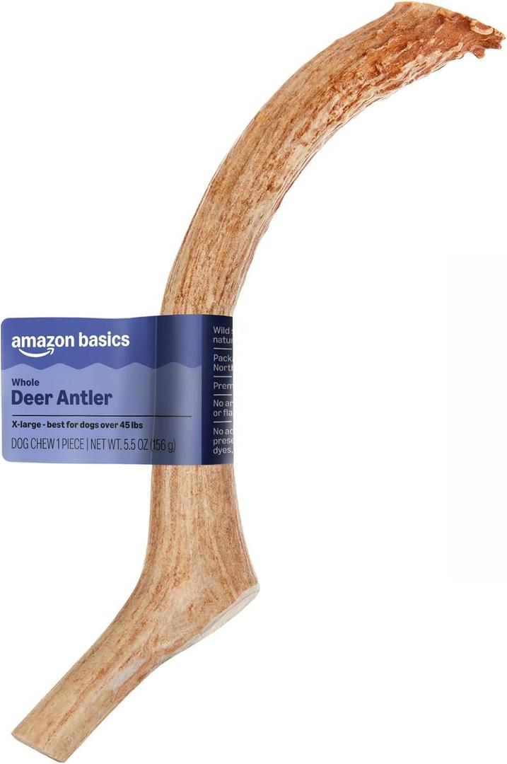 Amazon Basics Dog Deer Antler Chew, Naturally Shed, Whole, 9-10.5 inches, Long Lasting for Aggressive Chewers, X-Large, Best for Dogs Over 45 lbs (Previously Wag) (EXP 02/13/29)