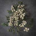 Juxdp 36" Artificial Nandina Berry Stem for Vase - 4 Pcs Realistic Faux Berry Spray, Fake Plant Branches with Stems for DIY Bouquet, Shower, Mantel, Home Decor (Cream)