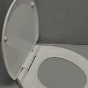 American Standard 5503A00B.020 Transitional Elongated Toilet Seat Soft Close, White