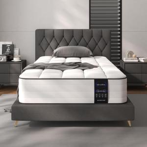 LETMOON 8 Inch Hybrid Twin Mattress in a Box, Medium Firm Pocket Spring