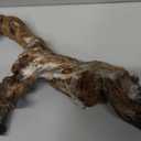 PINVNBY Natural Driftwood for Aquarium Decor Fish Tank Decorations Reptile Decor Driftwood Decor, 3 Pieces 7"-11" Assorted Driftwood Branch