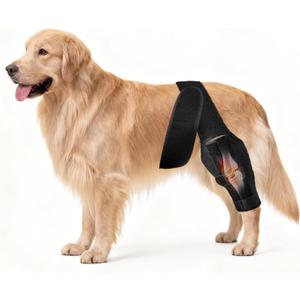 Dog Knee Brace for ACL Tear, Cruciate Ligament Brace for Dogs - Adjustable Leg Support for Front & Rear Legs, Support for Surgery Recovery, Hip Dysplasia, Arthritis, CCL & Ligament Injuries (M)