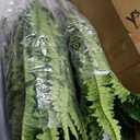 Artificial Boston Fern Bush- Set of 2 Large Artificial Ferns for Outdoors, 45Inch Large Faux Ferns, Suitable for Office & Living Room Decor, 55Branches for Each Bouquet