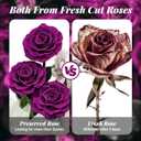 Flowers Forever Roses in A Box, 3 Real Roses with Stems and Bear, Eternal Rose Gifts for Her,Birthday Gifts for Women, Mom,Girlfriend,Grandma,Daughter,Purple