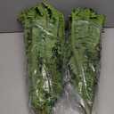 Artificial Boston Fern Bush- Set of 2 Large Artificial Ferns for Outdoors, 45Inch Large Faux Ferns, Suitable for Office & Living Room Decor, 55Branches for Each Bouquet